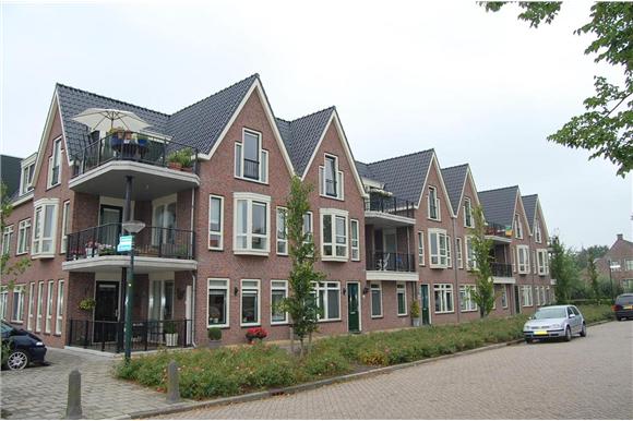 Senioren begeleiding bij verhuizing